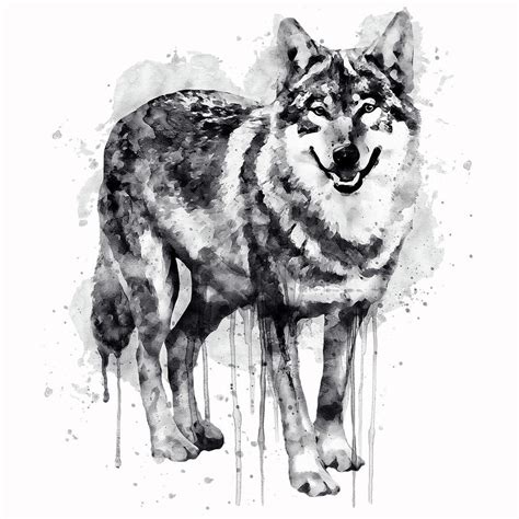 Alpha Wolf Black And White Painting By Marian Voicu Fine Art America