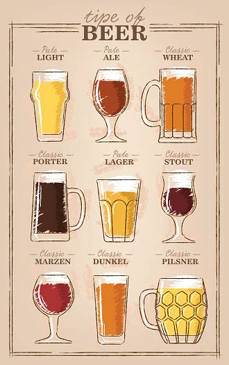 Beer Types A Visual Guide To Types Of Beer Various Types