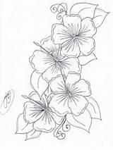 Flower Hawaiian Hibiscus Coloring Pages Flowers Tattoos Tattoo Tropical Uploaded User sketch template