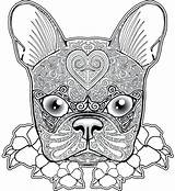 Coloring Pages Bulldog French Boston Terrier Pug Dog Printable Adults Adult Color Print Zentangle Mandala Animal Colouring Skull Getcolorings Newfoundland sketch template