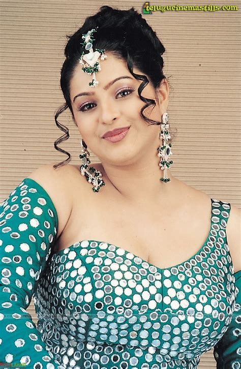sexy malayalam actress pics sexy navel show and cleavage show of south indian actress raasi