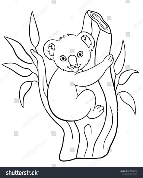 coloring pages  cute baby koala sits   tree branch  smiles stock vector