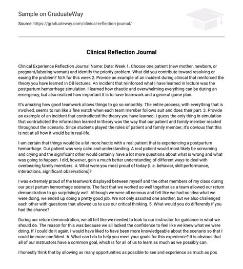 clinical reflection journal essay  graduateway