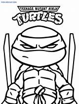 Turtles Tortugas Leonardo Ausmalbilder sketch template