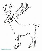 Elk Coloring Pages Drawing Head Popular Getdrawings Library Clipart sketch template