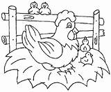 Chicken Coloring Pages Printable Animals Chickens Fried Colouring Minecraft Sheets Color Print Preschool Hen Kids Farm Cute Getcolorings Crafts Animal sketch template