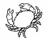 Bahamas Coloring Crab sketch template