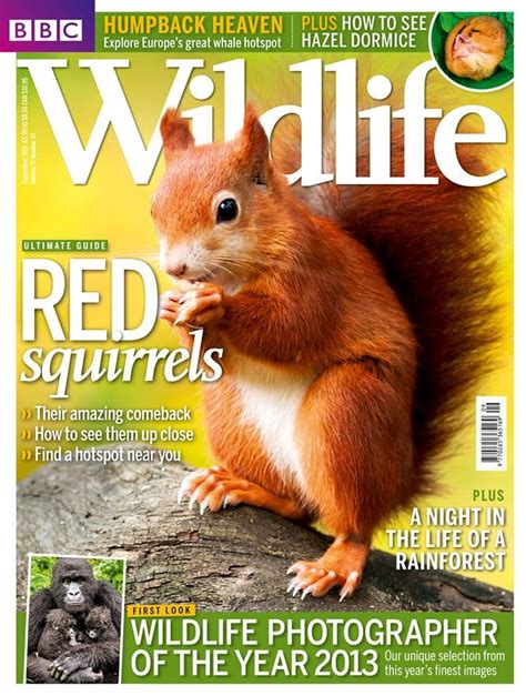 bbc wildlife magazine cover wildlife award winning photography