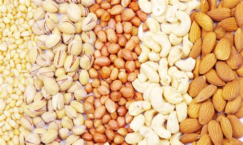 tree nuts lead export growth farm journal forum