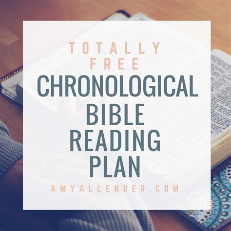 chronological bible reading plan plan amy allender