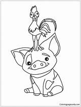 Moana Pig Pua Pages Coloring Color Template Print Coloringpagesonly sketch template