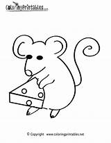 Mouse Coloring Pages Printable Cheese Animal Animals Printables Thank Please Popular Babymouse sketch template