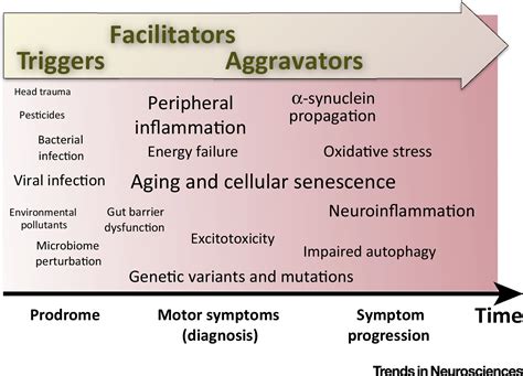 triggers facilitators  aggravators redefining parkinsons disease pathogenesis trends