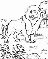 Lion Coloring Mitraland sketch template