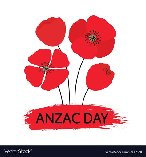 anzac day bouquet  poppy flowers royalty  vector image