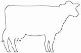 Cows sketch template