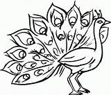 Peacock Coloring Pages Printable Kids Color sketch template