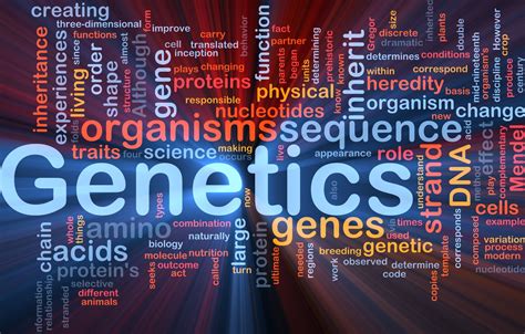 Genetics Is Not So Tough An Overview On Genetics Interactive