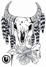 Buffalo Skull Drawings Template Coloring sketch template