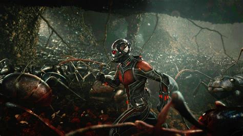Let S Nerd Out About Ants Before You See Ant Man Wired