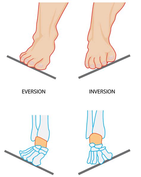 orthotics orthotic  orthodic   foot orthotics