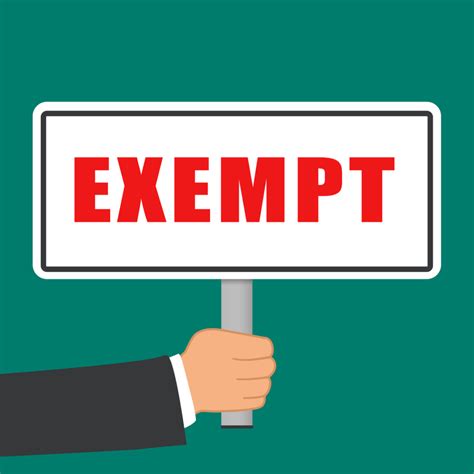 exemptions  filing  chapter  bankruptcy