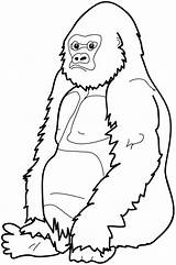 Gorilla Coloring Pages Clipart Cartoon Cute Clip Baby Cliparts Face Sitting Gorillas Craft River Printable Monkey Down Animal Library Kids sketch template