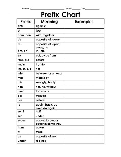 suffix  prefix worksheets  grade