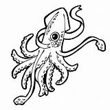 Squid Coloring Colossal Pages Drawing Giant Getdrawings Getcoloringpages Sheet sketch template