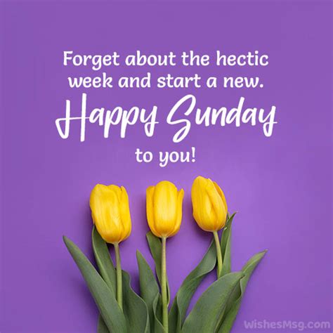 happy sunday wishes messages  quotes wishesmsg