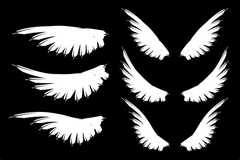 set  bird wings white  black wings