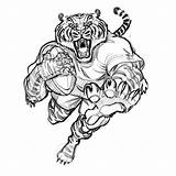 Rugby Tiger Mascot Drawing Drawings Cartoon Sketch Illustration Laser Wacom Pages Engraving Sketchbookpro Cintiq Tigers Animal Coloring Animals Illustrations Explore sketch template