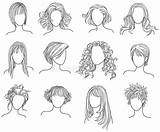 Hairstyles Illustration Vector Clipart Dreamstime Illustrations Vectors Twelve Collection sketch template