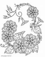 Coloring Adults Flower Pages Printable Sheets Print Flowers Adult Look Other sketch template