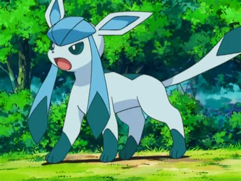 May S Glaceon Pokémon Wiki Fandom Powered By Wikia