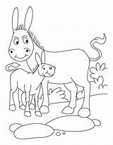 Donkey Coloring Foal Baby Drawing Colouring Clipart Donkeys Printable Clip Getdrawings Library Getcolorings sketch template
