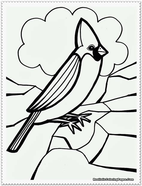 bird coloring pages sketch coloring page