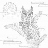 Stare Coloring Designlooter Owl Exquisite Lovely Style sketch template