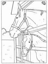 Paarden Kleurplaten Stal Paard Paradijs sketch template