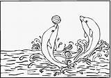 Coloring Pages Dolphins Adults Dolphin Sheets Popular sketch template