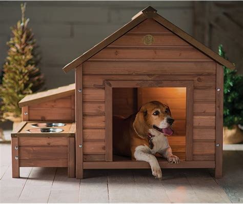 smartest dog house ideas weve   indoor dog house outdoor dog house cool dog