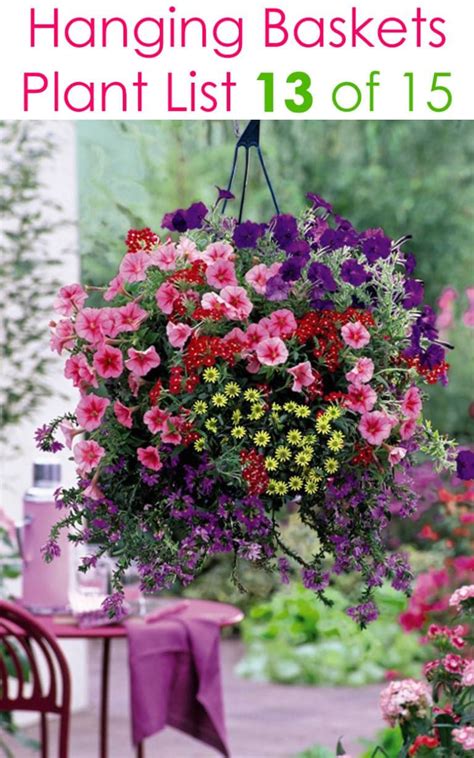Pauline Fleischer Best Summer Flowers For Hanging Baskets 70 Hanging
