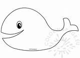 Whale Template Baby Shower Coloringpage Eu sketch template