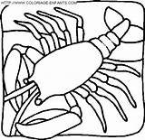 Coloring Lobster Pages Crawfish Color Animals Kids Print Sea Développement Coloriage Dibujos Application Mobile sketch template