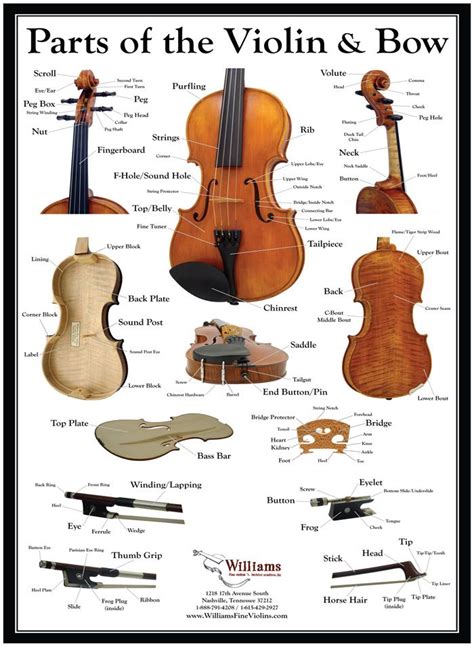 parts poster violin chords violin parts violin bow violin sheet  piano  cello