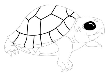 baby turtle coloring page drawn  alexis   march