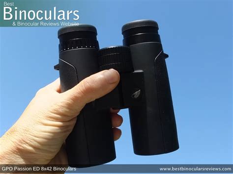 gpo passion ed 8x42 binoculars review