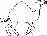 Camel Coloringall Cartoon sketch template