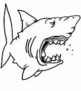 Shark Coloring Pages Sharks Kids Jaws Drawing Chibi Great Color Hungry Funny Print Outline Jaw Children Template Printable Hammerhead Getdrawings sketch template