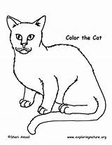 Cat Coloring Color Cats Citing Farm Reference sketch template